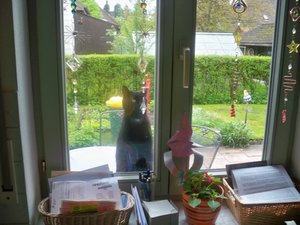 100_1252 - Kopie.jpg 100_1252 - Kopie.jpg