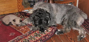 minas 18-9-04 033.jpg