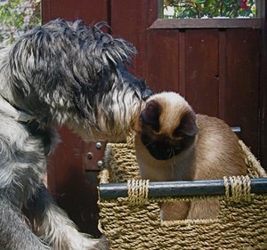 minas terrasse 003_2.jpg