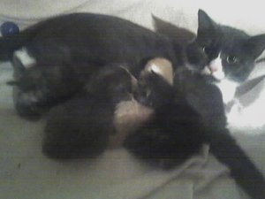 6.5.10 Sera u Bailey.jpg