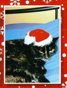 Tinka und Francis 001 - Kopie (2).jpg