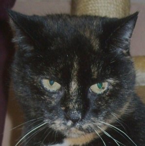 102_0108 - Kopie (2).JPG