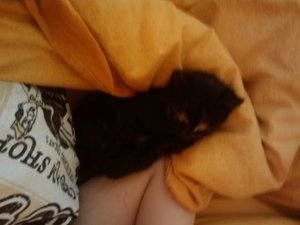 2009-06-13 15.25.41.jpg