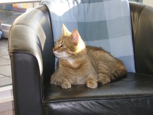 Dänemark 08.05.-15.05.2010 132.jpg