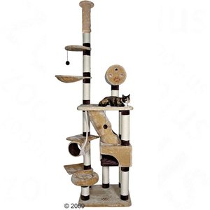 Kratzbaum Belorado.jpg