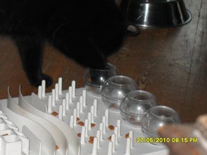 teufelchen 017 [800x600].jpg