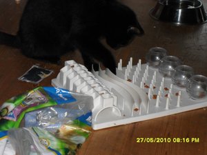 teufelchen 019 [800x600].jpg