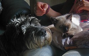 minas 18-9-04 038.jpg