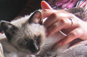 minas 18-9-04 039.jpg