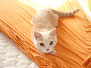 betten beziehen 001.jpg