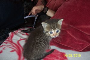 Aimee die kleine.JPG