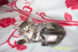 Annabell was machst du da.JPG