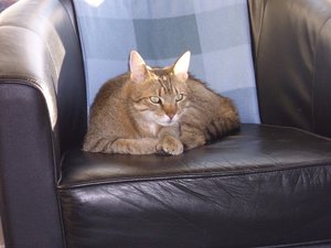 Dänemark 08.05.-15.05.2010 133.jpg