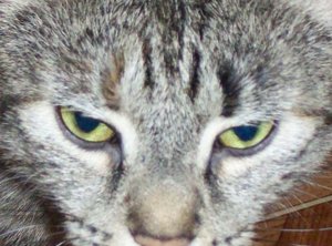 102_1456 - Kopie.JPG