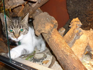 Josie zu Besuch bei Bartis 035.jpg