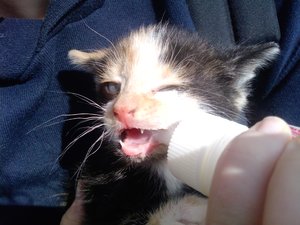 Meine Babiis 006.JPG