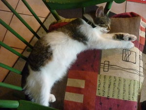 Nahaufnahmen 011.jpg