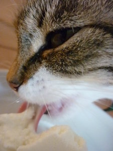 Nahaufnahmen 015.jpg