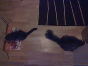 gemeinsames essen Tag 4.jpg