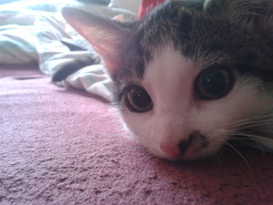 2012-07-28 13.57.06.jpg