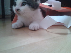 2012-06-22 13.24.51.jpg