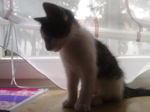 2012-06-23 13.39.57.jpg