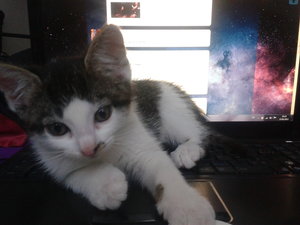 2012-06-23 18.25.14.jpg