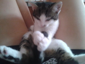 2012-07-28 13.53.56.jpg