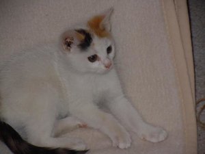 Gleo_10 Wochen_230712.jpg