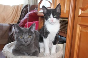 Sommer Karlsminde Ostsee 2012 171.jpg