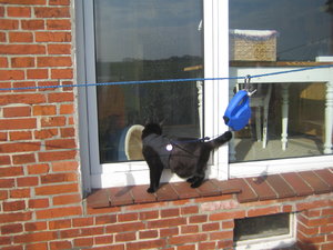 Urlaub 2011 im April 116.jpg