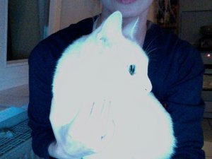 Foto am 16-08-2012 um 21.36 #2.jpg