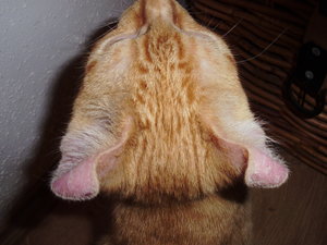 Importierte Fotos 00537.JPG