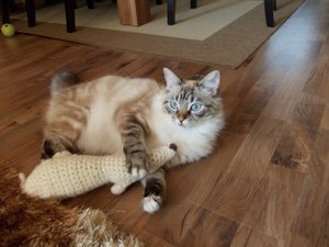 DSCN0412 - Kopie.JPG