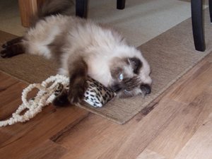 DSCN0413 - Kopie.JPG