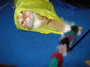 jerry klein folge1 116.jpg