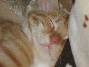 jerry klein folge1 112.jpg