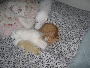 jerry klein folge1 031.jpg