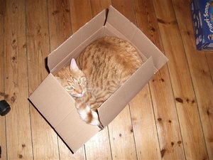 CIMG0231 (2) (Klein).JPG