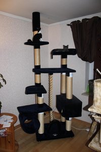 juli - august 2012 039.jpg