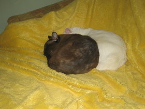 Urlaub 2011 im April 036.jpg