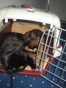 Neue zu Hause und altes zu Hause 003.jpg