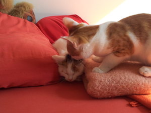 1.0.Wer bist denn du.jpg