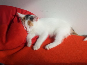 2.2 das macht fertig.jpg