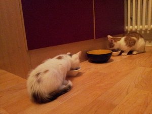 auch das klappt. Wer ist eigentlich der Größere.jpg