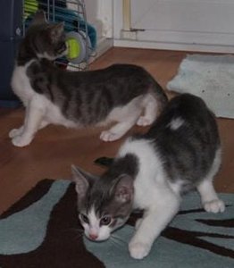 IMG_2142 (Medium).JPG