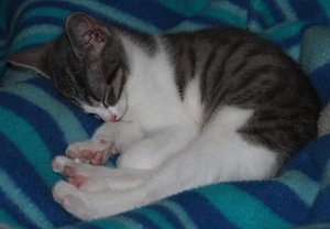 IMG_2158 (Medium).JPG