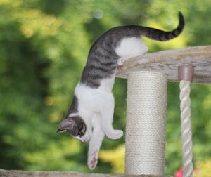 IMG_2254 (Medium).JPG