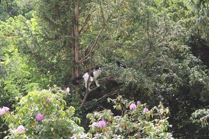 johnny auf der jagd.jpg