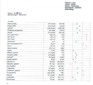 Luna Blutbild 05.08.2012 1_2.jpg